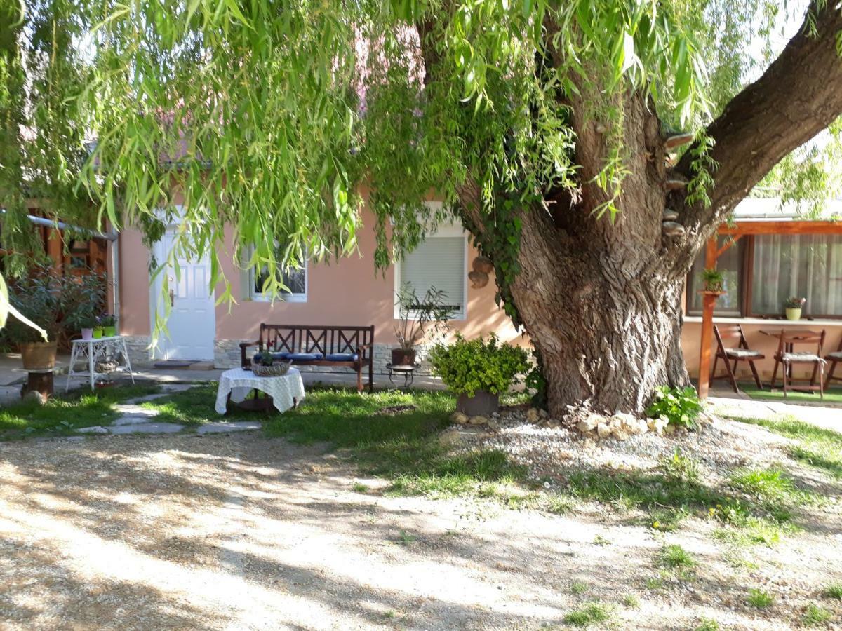 City Camping& Apartman &Bungalow * Győr
